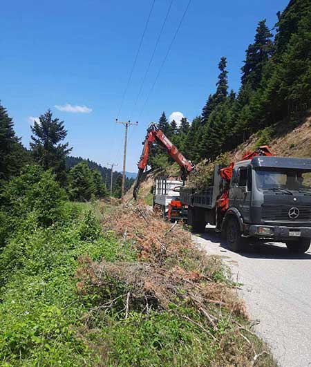 arx_1 Δασικά έργα