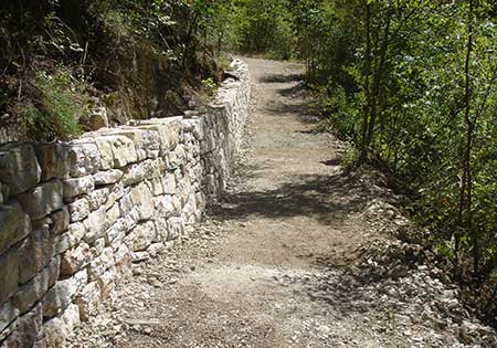 arx_2 Δασικά έργα