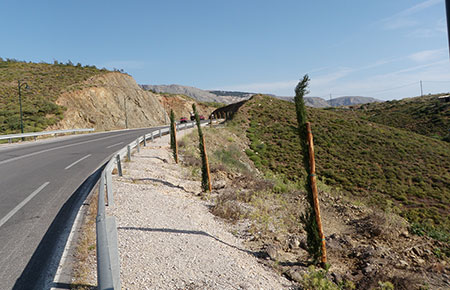 arx_4 Δασικά έργα