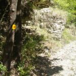 Δασικά έργα